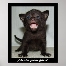 Adoptieren Sie ein katzenartiges Freund-Plakat