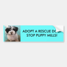 ADOPTIEREN SIE EINEN RETTUNGS-HUND! STOPPEN SIE WE AUTOSTICKER