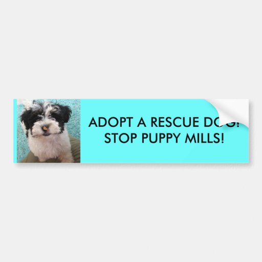 ADOPTIEREN SIE EINEN RETTUNGS-HUND! STOPPEN SIE WE AUTOSTICKER