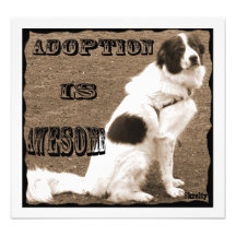 Adoption ist fantastisch kunstphoto