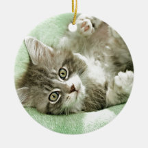 Adorable Cute Grey Tabby Kitten Paw Play Tapping Ornament