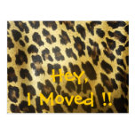 Adressenänderung Leopard-Druck Postkarte
