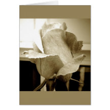 aFaded Rose Karten