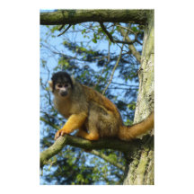 Affe auf dem Baum Individuelle Druckpapiere