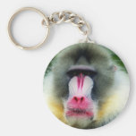 Affe keychain (orton) schlüsselband