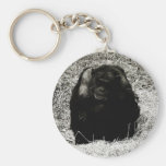 Affe keychain schlüsselanhänger