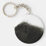 Affe keychain schlüsselanhänger