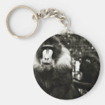Affe keychain schlüsselband