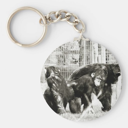 Affe keychain schlüsselbänder
