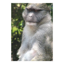 Affe sehen, Affe tun Einladung