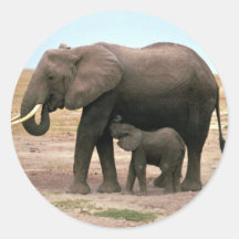 Afrikanische Elefanten - kleine Kalb-Krankenpflege Runder Aufkleber