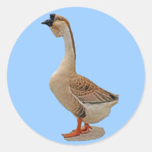 Afrikanische Gans Runde Aufkleber