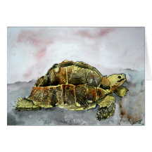 afrikanische Wüstenschildkröte-Landschildkröte-Gru Karte