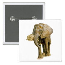 Afrikanischer Elefant Anstecknadelbutton