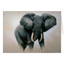 Afrikanischer Elefant Grußkarte