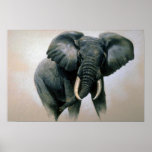 Afrikanischer Elefant Posterdrucke