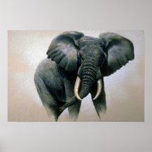 Afrikanischer Elefant Posterdrucke