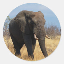 Afrikanischer Elefant Runder Sticker