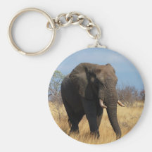 Afrikanischer Elefant Schlüsselband