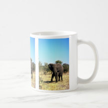Afrikanischer Elefant Tassen