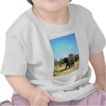 Afrikanischer Elefant Tshirts