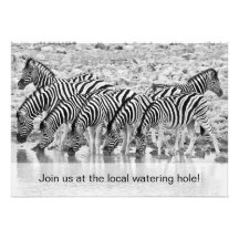Afrikanischer Safarizebra-lustige Geburtstags-Einl