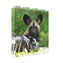 Afrikanischer wilder Hundefoto-Leinwand-Druck Leinwanddruck