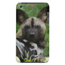 Afrikanischer wilder HundiTouch Fall iPod Touch Case