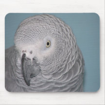 Afrikanisches Grau-Papagei Mousepad