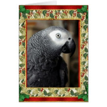 Afrikanisches Grau-Papageien-Weihnachtskarte