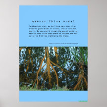 Agnostix Ltd.: wie denken Sie Sie wissen alles? Plakat