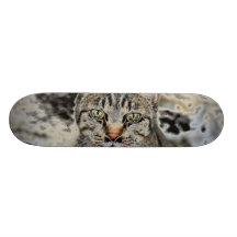 Ägyptische Katzen-Skateboard Personalisiertes Skateboard