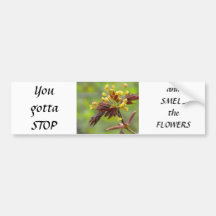 Ahorn-Blumen Autosticker