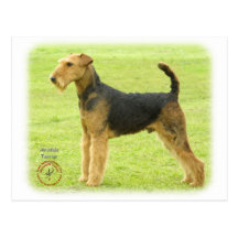 Airedale Terrier 8T092D-16 Postkarte