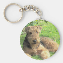 Airedale Terrier Keychain Schlüsselband