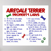 AIREDALE TERRIER PL2 POSTERDRUCK