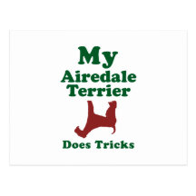 Airedale Terrier Postkarten