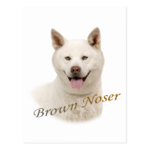 Akita Brown Noser Postkarte