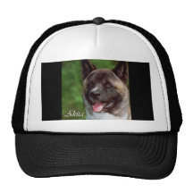 Akita-Liebhaber-Kunst-Geschenke Baseballcap