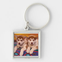 Alaskische Malamutes Schlüsselanhänger
