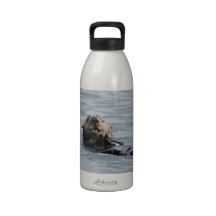 Alaskische Seeotter-Wasser-Flasche Wiederverwendbare Wasserflasche