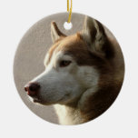Alaskischer Malamute-Hund Ornament