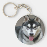 Alaskischer Malamute-Hundephotographie Schlüsselanhänger