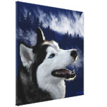 Alaskischer Schlittenhund eingewickelte Leinwand Galerie Gefaltete Leinwand