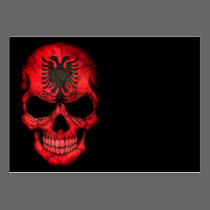 Albanian Flag Skull on Black visitenkarten