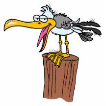 alberner Seemöwe-Cartoon Photofigur