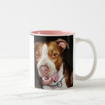 Albernes Pitbull Porträt Tassen