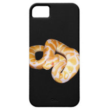 Albinoball-Telefonkasten iPhone 5 Schutzhülle