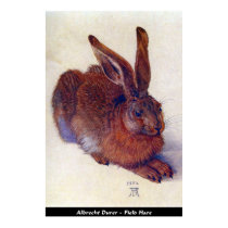 Albrecht Durer - Feld-Hase-Plakat poster
