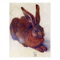 Albrecht Durer - Feld-Hasen GASCHROMATOGRAPHIE postkarten
